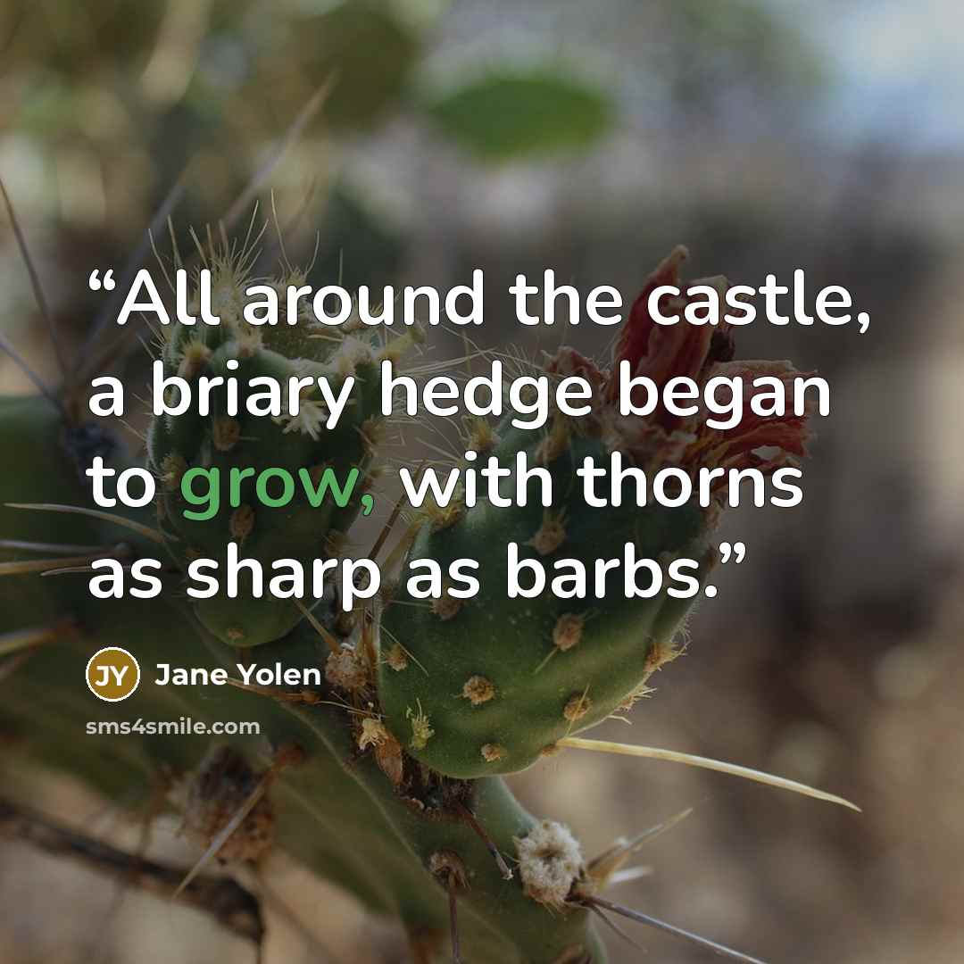 “All around the castle, a briary hedge began to grow, with thorns as sharp as barbs.” quote by Jane Yolen