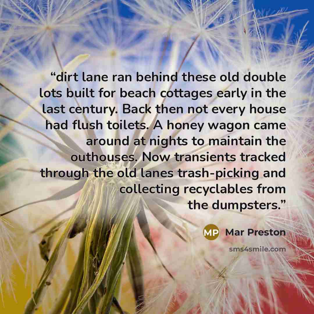 “dirt lane ran behind these old double lots built for beach cottages early in the last century. Back then not every house had flush toilets. A honey wagon came around at nights to maintain the outhouses. Now transients tracked through the old lanes trash-picking and collecting recyclables from the…” quote by Mar Preston