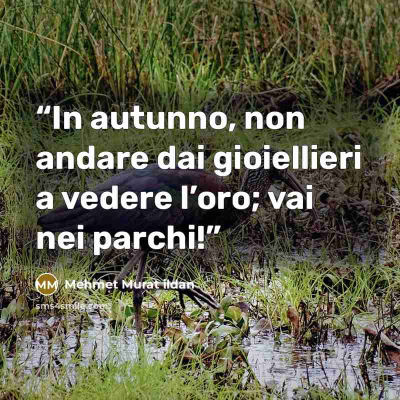“In autunno, non andare dai gioiellieri a vedere l’oro; vai nei parchi!” quote by Mehmet Murat ildan