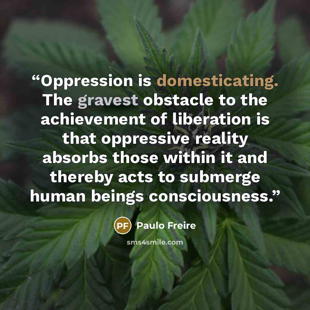 “Oppression is domesticating. The gravest obstacle to the achievement of liberation is that oppressive reality absorbs those within it and thereby acts to submerge human beings consciousness.” quote by Paulo Freire
