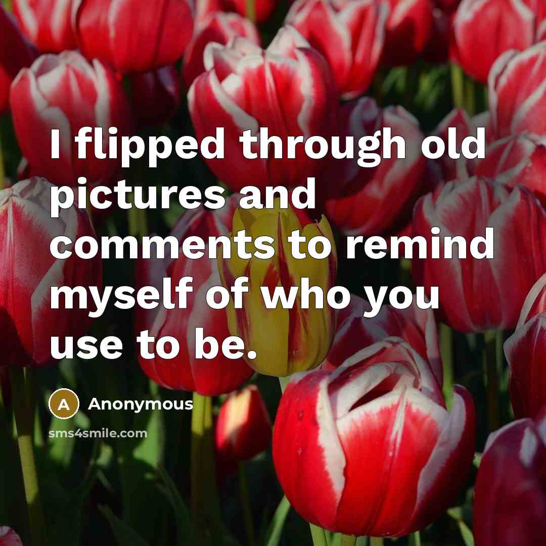 “I flipped through old pictures and comments to remind myself of who you use to be.” quote by Anonymous