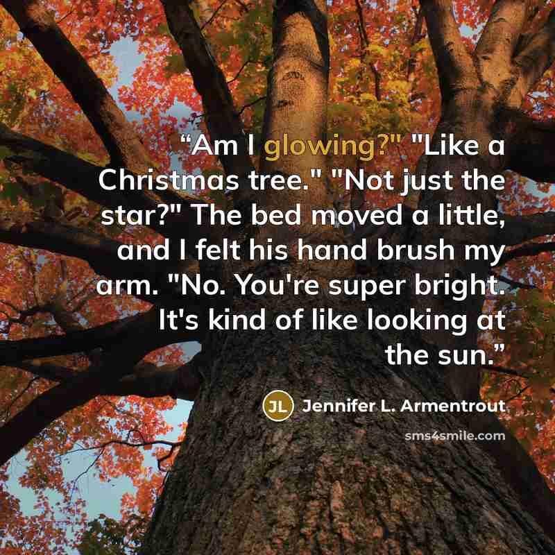 “Am I glowing?" "Like a Christmas tree." "Not just the star?" The bed moved a little, and I felt his hand brush my arm. "No. You're super bright. It's kind of like looking at the sun.” quote by Jennifer L. Armentrout