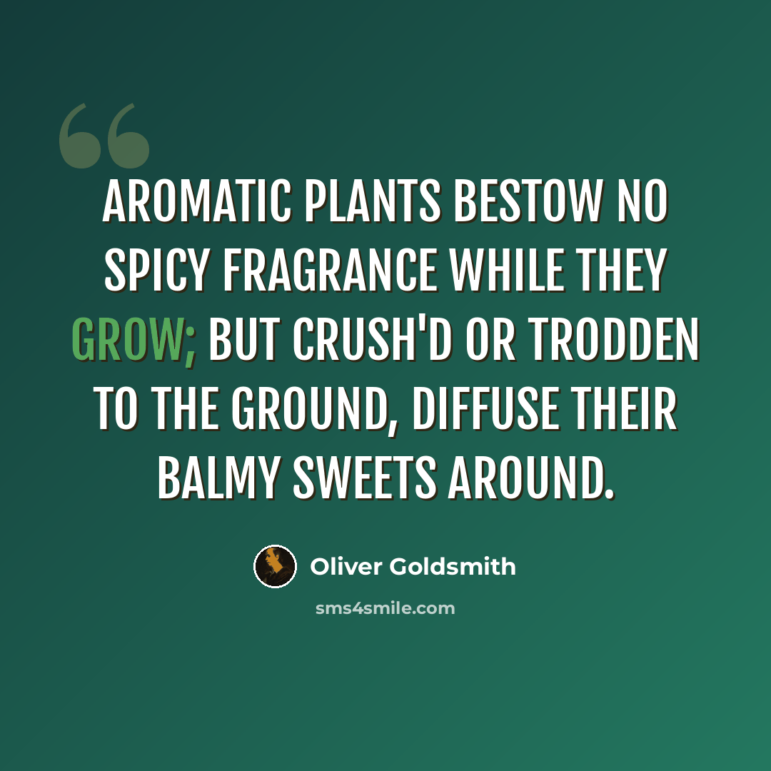 “Aromatic plants bestow no spicy fragrance while they grow; but crush'd or trodden to the ground, diffuse their balmy sweets around.” quote by Oliver Goldsmith