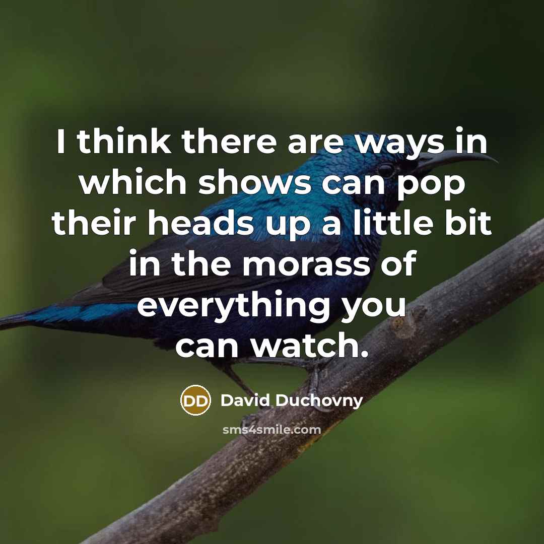 “I think there are ways in which shows can pop their heads up a little bit in the morass of everything you can watch.” quote by David Duchovny