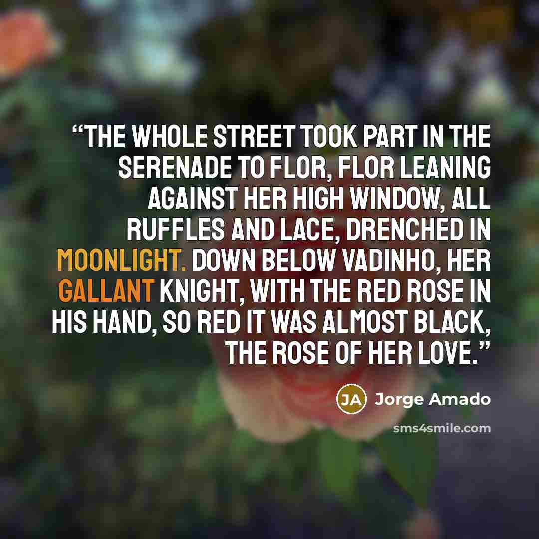 “The whole street took part in the serenade to Flor, Flor leaning against her high window, all ruffles and lace, drenched in moonlight. Down below Vadinho, her gallant knight, with the red rose in his hand, so red it was almost black, the rose of her love.” quote by Jorge Amado