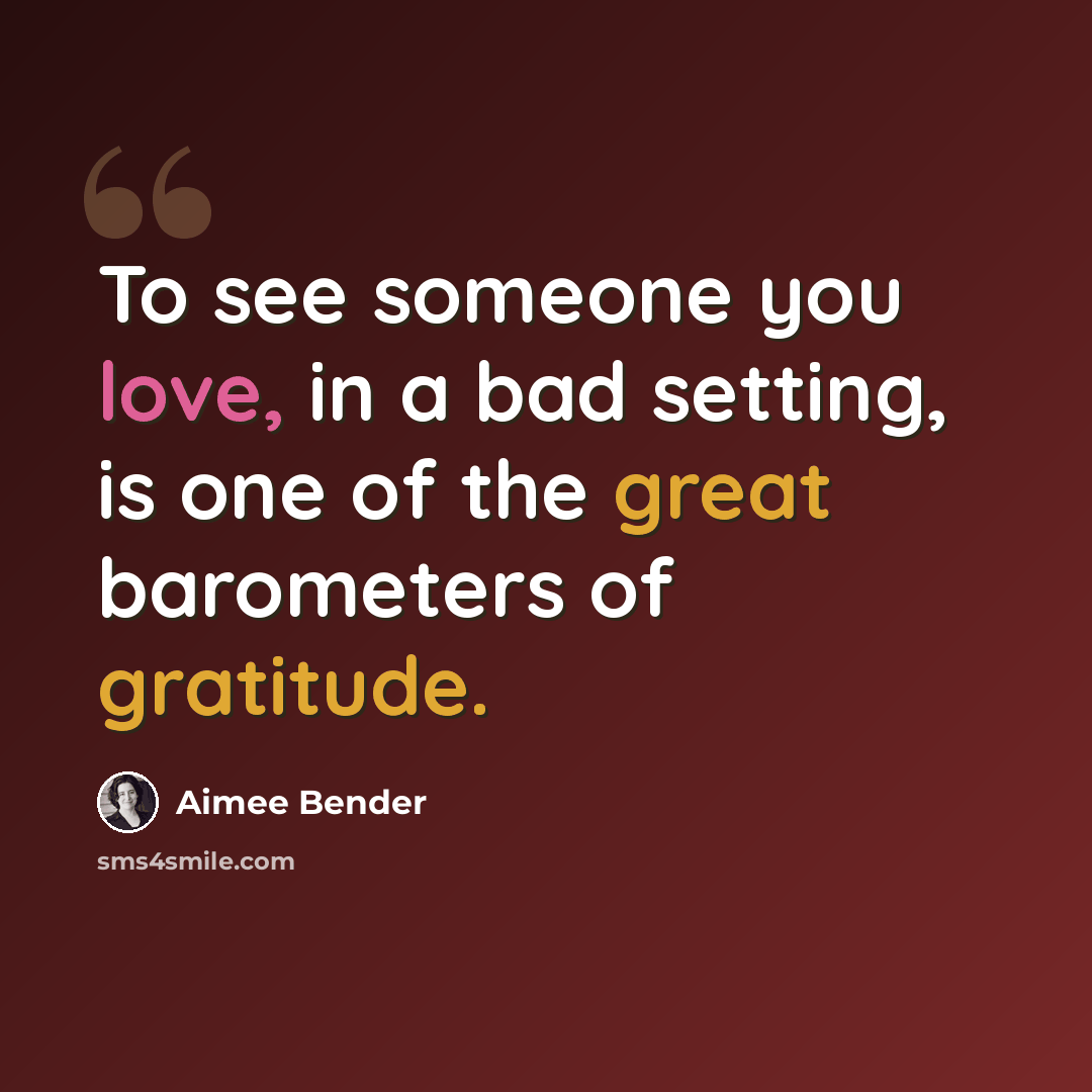 “To see someone you love, in a bad setting, is one of the great barometers of gratitude.” quote by Aimee Bender