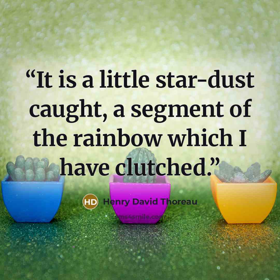 “It is a little star-dust caught, a segment of the rainbow which I have clutched.” quote by Henry David Thoreau