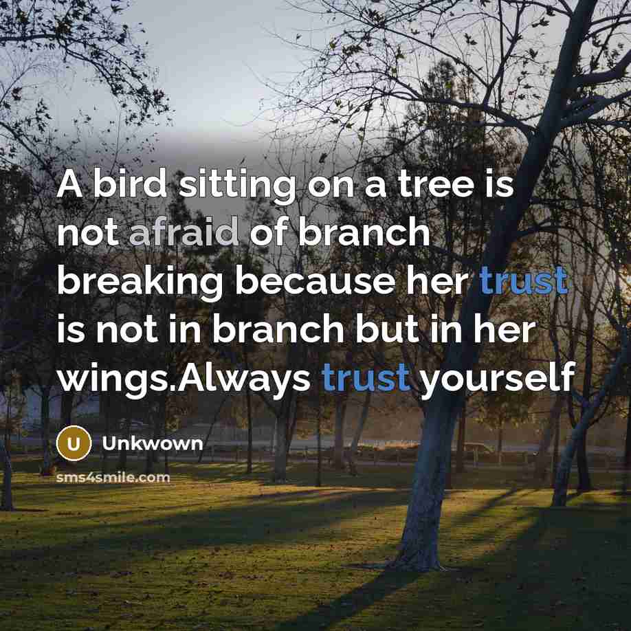 “A bird sitting on a tree is not afraid of branch breaking because her trust is not in branch but in her wings.Always trust yourself” quote by Unkwown