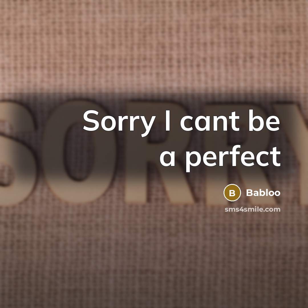 “Sorry I cant be a perfect” quote by Babloo