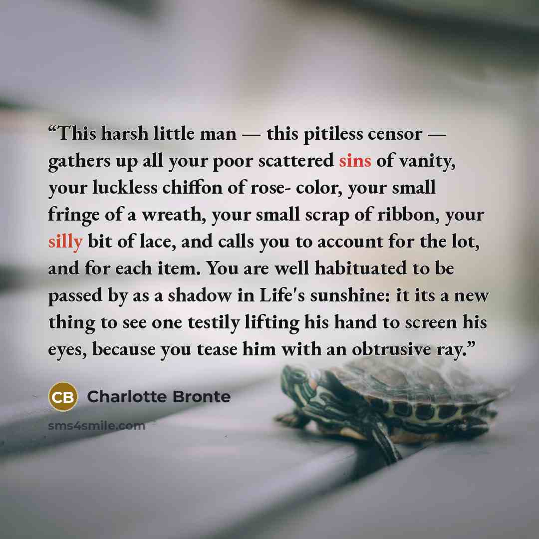 “This harsh little man — this pitiless censor — gathers up all your poor scattered sins of vanity, your luckless chiffon of rose- color, your small fringe of a wreath, your small scrap of ribbon, your silly bit of lace, and calls you to account for the lot, and for each item. You are well…” quote by Charlotte Brontë