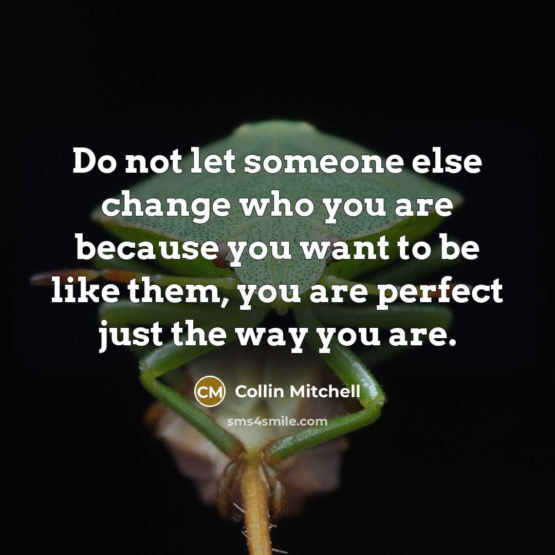 “Do not let someone else change who you are because you want to be like them, you are perfect just the way you are.” quote by Collin Mitchell