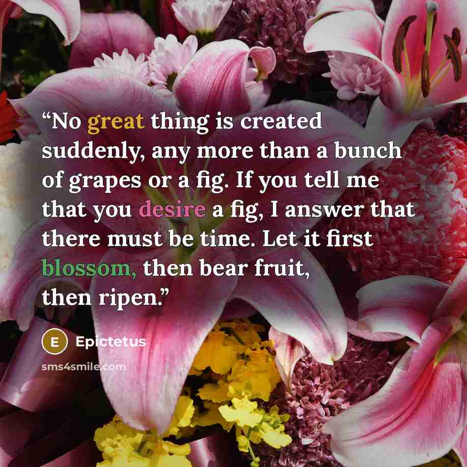 “No great thing is created suddenly, any more than a bunch of grapes or a fig. If you tell me that you desire a fig, I answer that there must be time. Let it first blossom, then bear fruit, then ripen.” quote by Epictetus