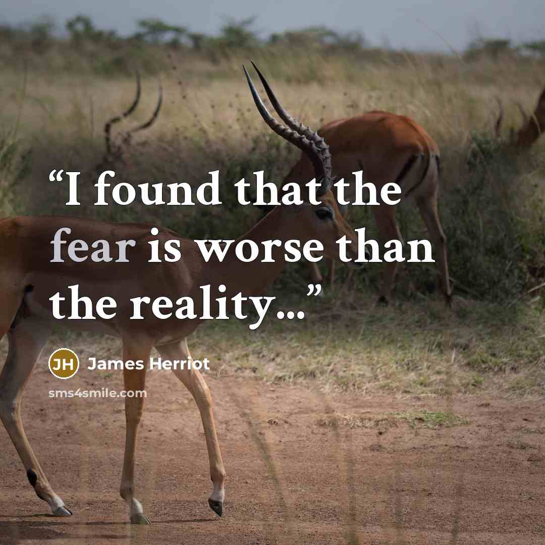 “I found that the fear is worse than the reality...” quote by James Herriot