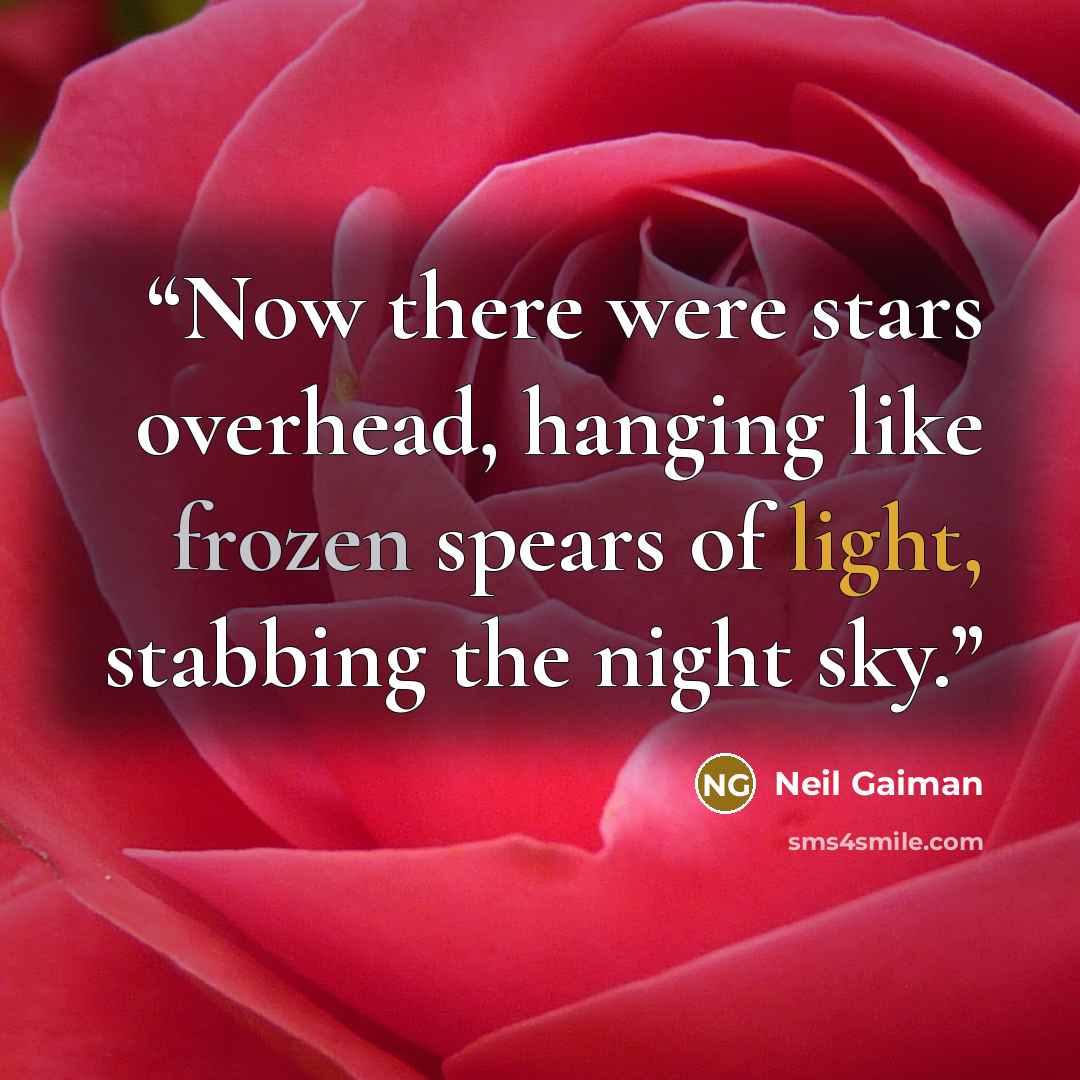 “Now there were stars overhead, hanging like frozen spears of light, stabbing the night sky.” quote by Neil Gaiman