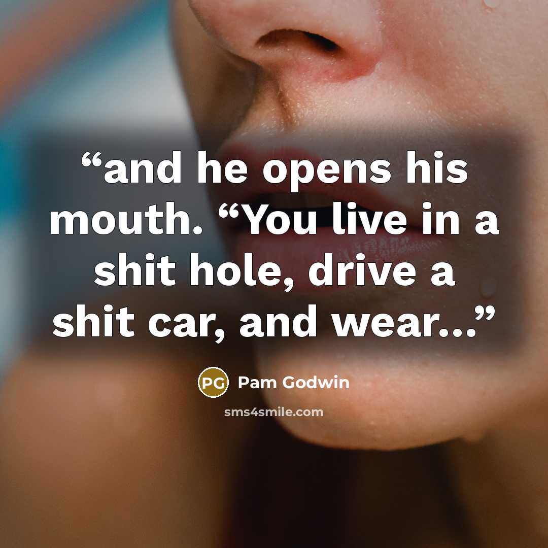 “and he opens his mouth. “You live in a shit hole, drive a shit car, and wear…” quote by Pam Godwin