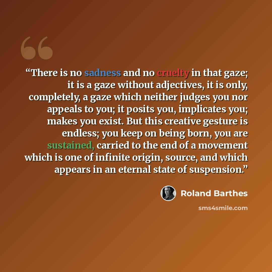 “There is no sadness and no cruelty in that gaze; it is a gaze without adjectives, it is only, completely, a gaze which neither judges you nor appeals to you; it posits you, implicates you; makes you exist. But this creative gesture is endless; you keep on being born, you are sustained, carried to…” quote by Roland Barthes