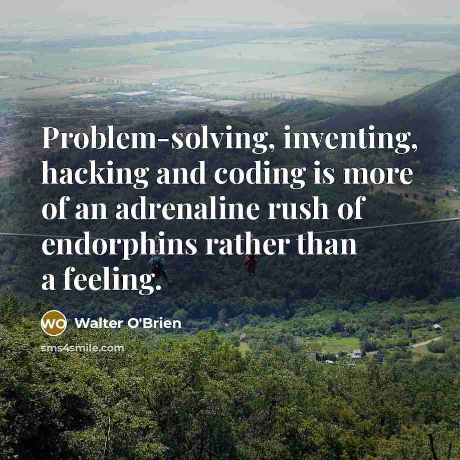 “Problem-solving, inventing, hacking and coding is more of an adrenaline rush of endorphins rather than a feeling.” quote by Walter O'Brien