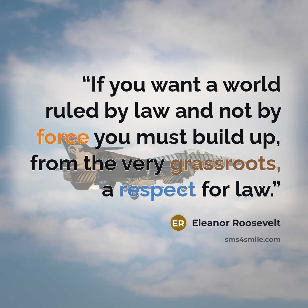 “If you want a world ruled by law and not by force you must build up, from the very grassroots, a respect for law.” quote by Eleanor Roosevelt