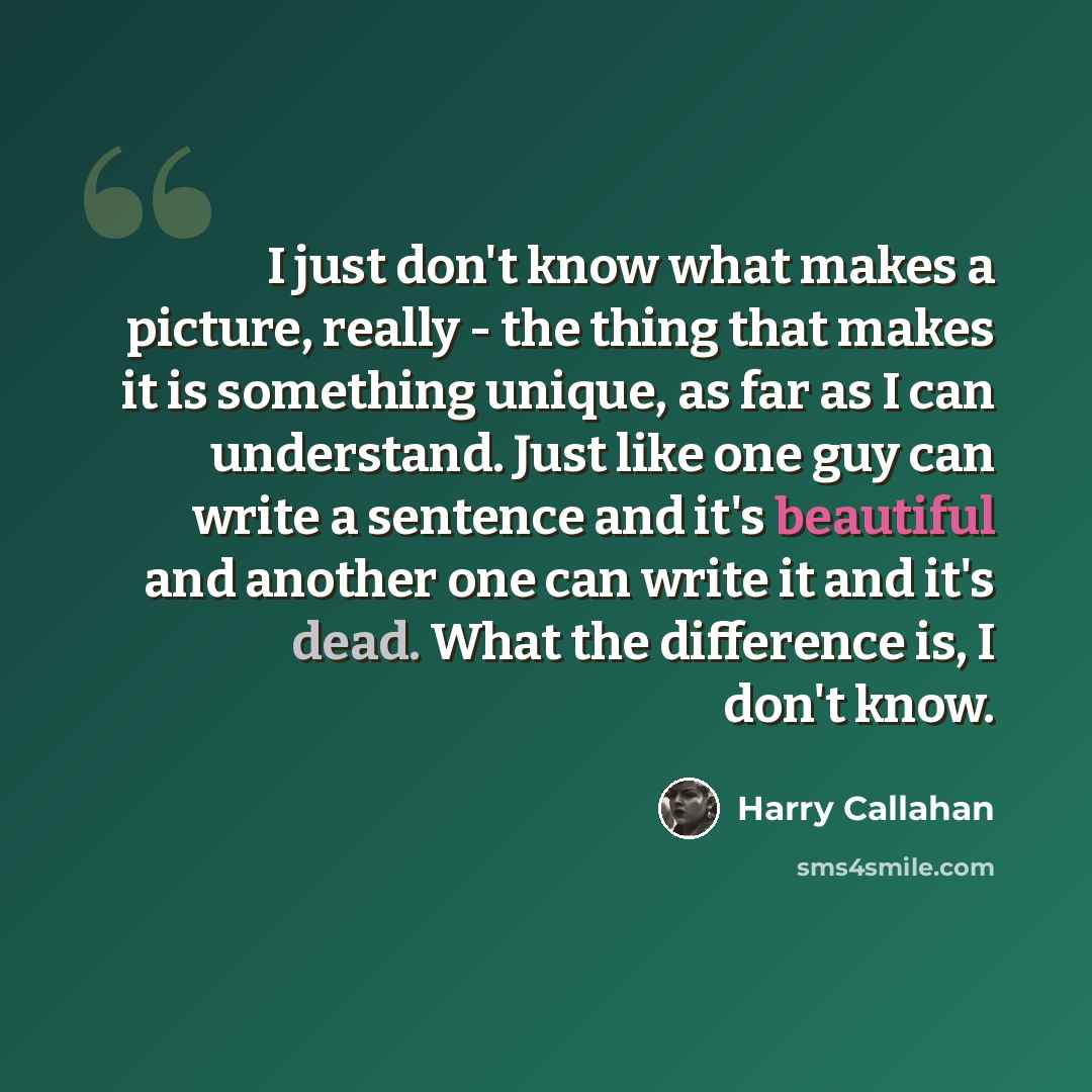 “I just don't know what makes a picture, really - the thing that makes it is something unique, as far as I can understand. Just like one guy can write a sentence and it's beautiful and another one can write it and it's dead. What the difference is, I don't know.” quote by Harry Callahan