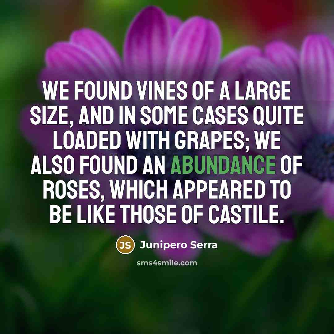 “We found vines of a large size, and in some cases quite loaded with grapes; we also found an abundance of roses, which appeared to be like those of Castile.” quote by Junipero Serra