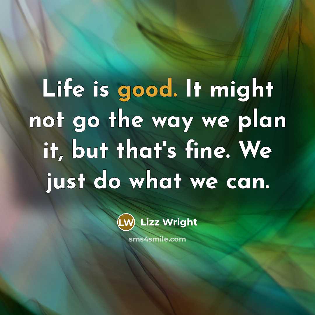“Life is good. It might not go the way we plan it, but that's fine. We just do what we can.” quote by Lizz Wright