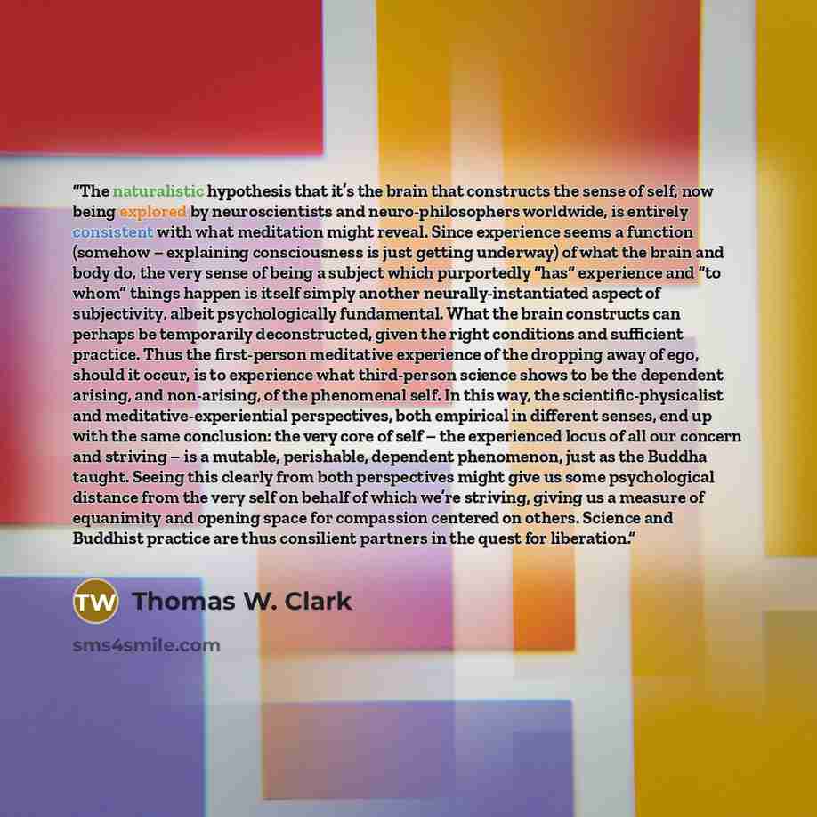“The naturalistic hypothesis that it’s the brain that constructs the sense of self, now being explored by neuroscientists and neuro-philosophers worldwide, is entirely consistent with what meditation might reveal. Since experience seems a function (somehow – explaining consciousness is just getting…” quote by Thomas W. Clark
