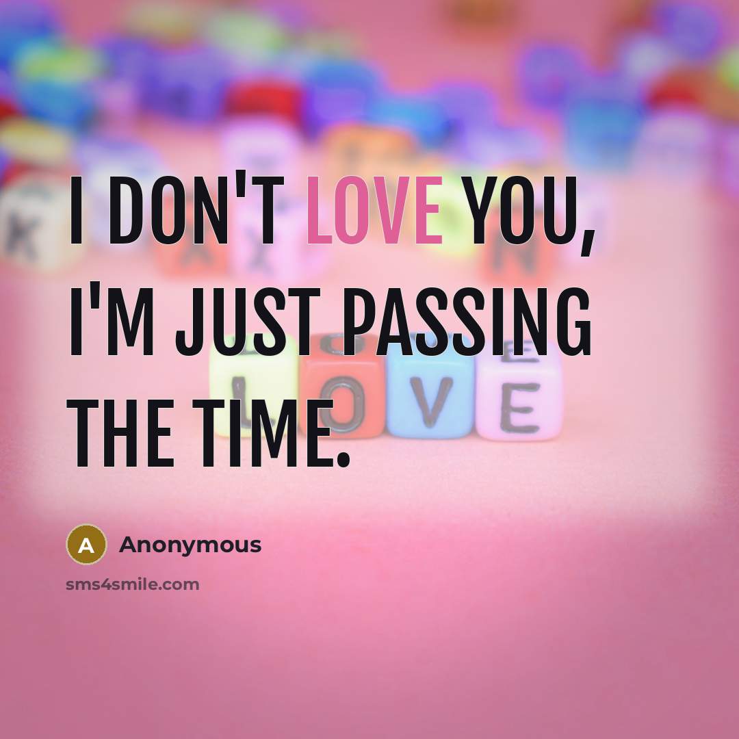 “I don't love you, I'm just passing the time.” quote by Anonymous