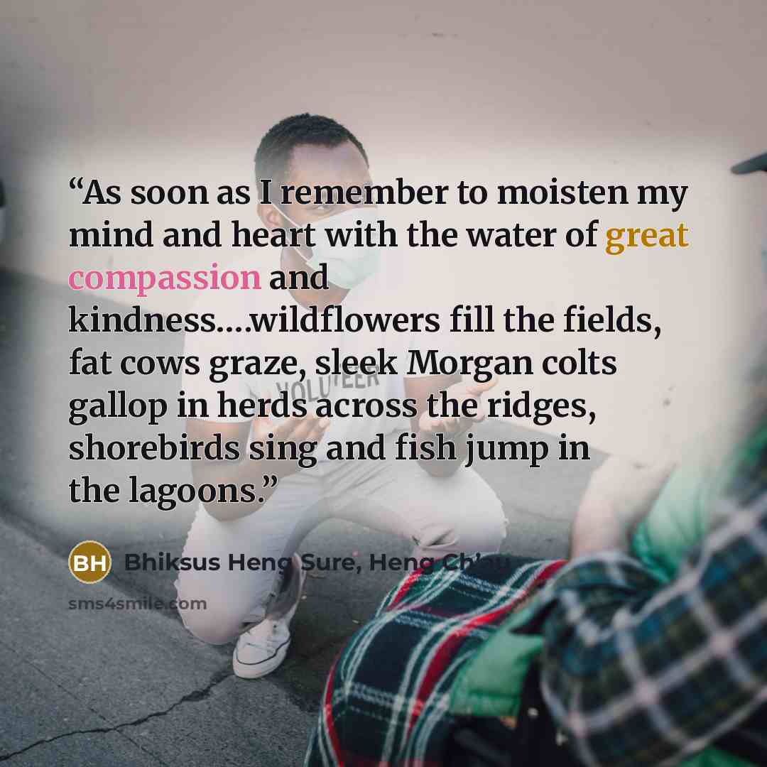 “As soon as I remember to moisten my mind and heart with the water of great compassion and kindness….wildflowers fill the fields, fat cows graze, sleek Morgan colts gallop in herds across the ridges, shorebirds sing and fish jump in the lagoons.” quote by Bhiksus Heng Sure, Heng Ch’au