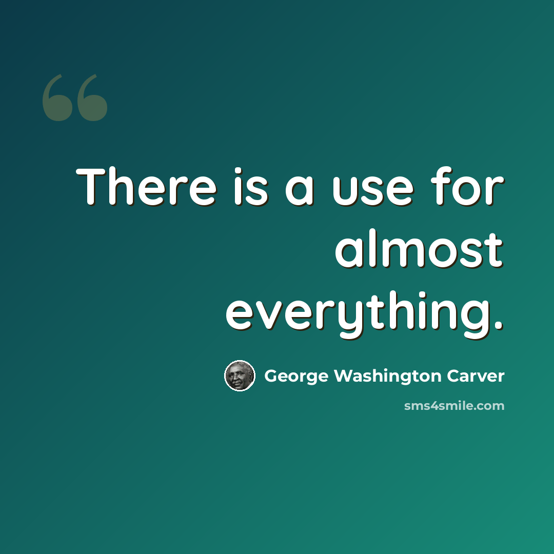 “There is a use for almost everything.” quote by George Washington Carver