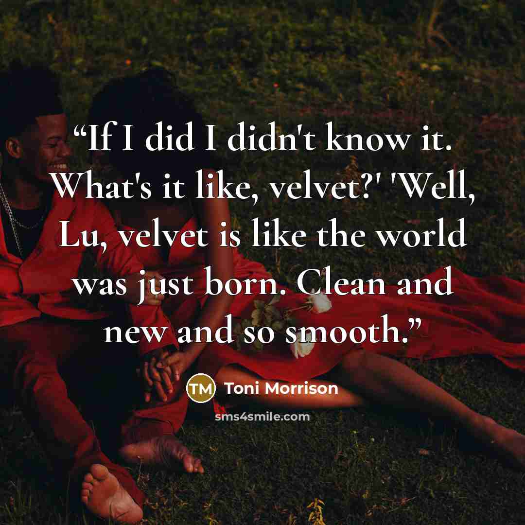 “If I did I didn't know it. What's it like, velvet?' 'Well, Lu, velvet is like the world was just born. Clean and new and so smooth.” quote by Toni Morrison