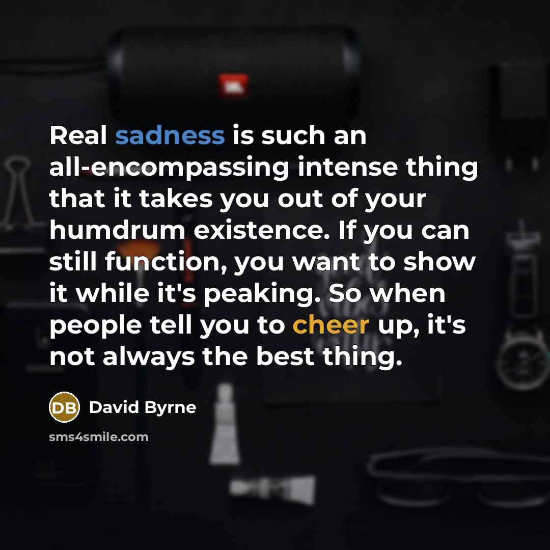 “Real sadness is such an all-encompassing intense thing that it takes you out of your humdrum existence. If you can still function, you want to show it while it's peaking. So when people tell you to cheer up, it's not always the best thing.” quote by David Byrne