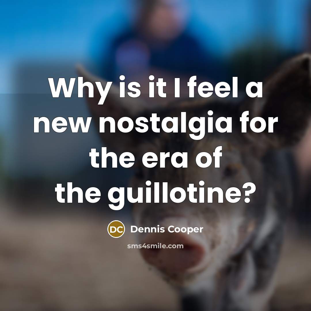 “Why is it I feel a new nostalgia for the era of the guillotine?” quote by Dennis Cooper