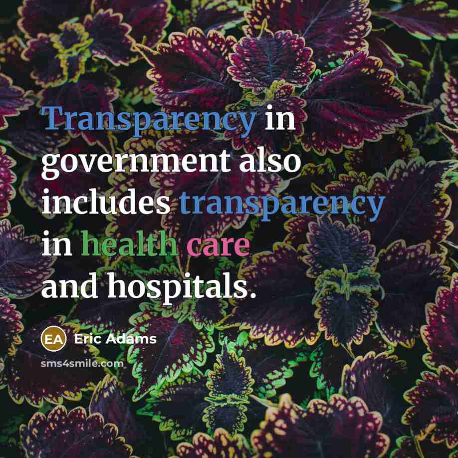 “Transparency in government also includes transparency in health care and hospitals.” quote by Eric Adams