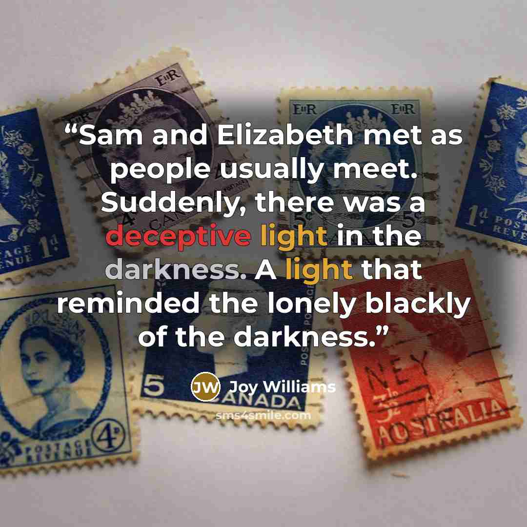 “Sam and Elizabeth met as people usually meet. Suddenly, there was a deceptive light in the darkness. A light that reminded the lonely blackly of the darkness.” quote by Joy Williams