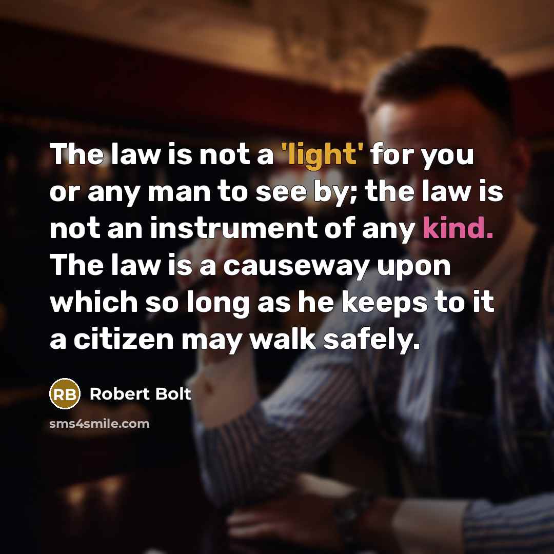“The law is not a 'light' for you or any man to see by; the law is not an instrument of any kind. The law is a causeway upon which so long as he keeps to it a citizen may walk safely.” quote by Robert Bolt