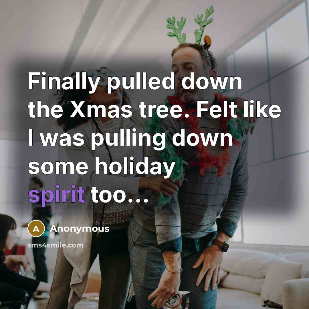“Finally pulled down the Xmas tree. Felt like I was pulling down some holiday spirit too...” quote by Anonymous