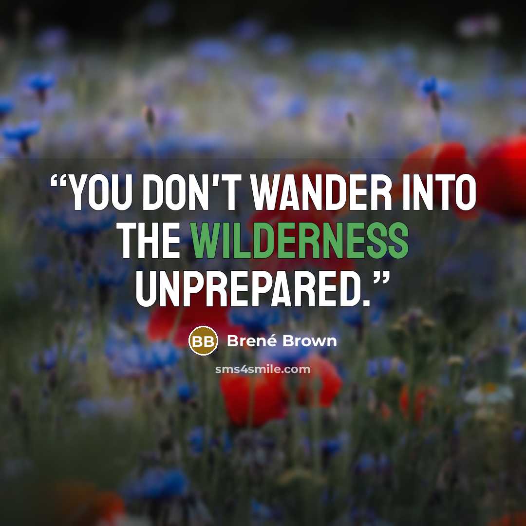 “You don't wander into the wilderness unprepared.” quote by Brené Brown