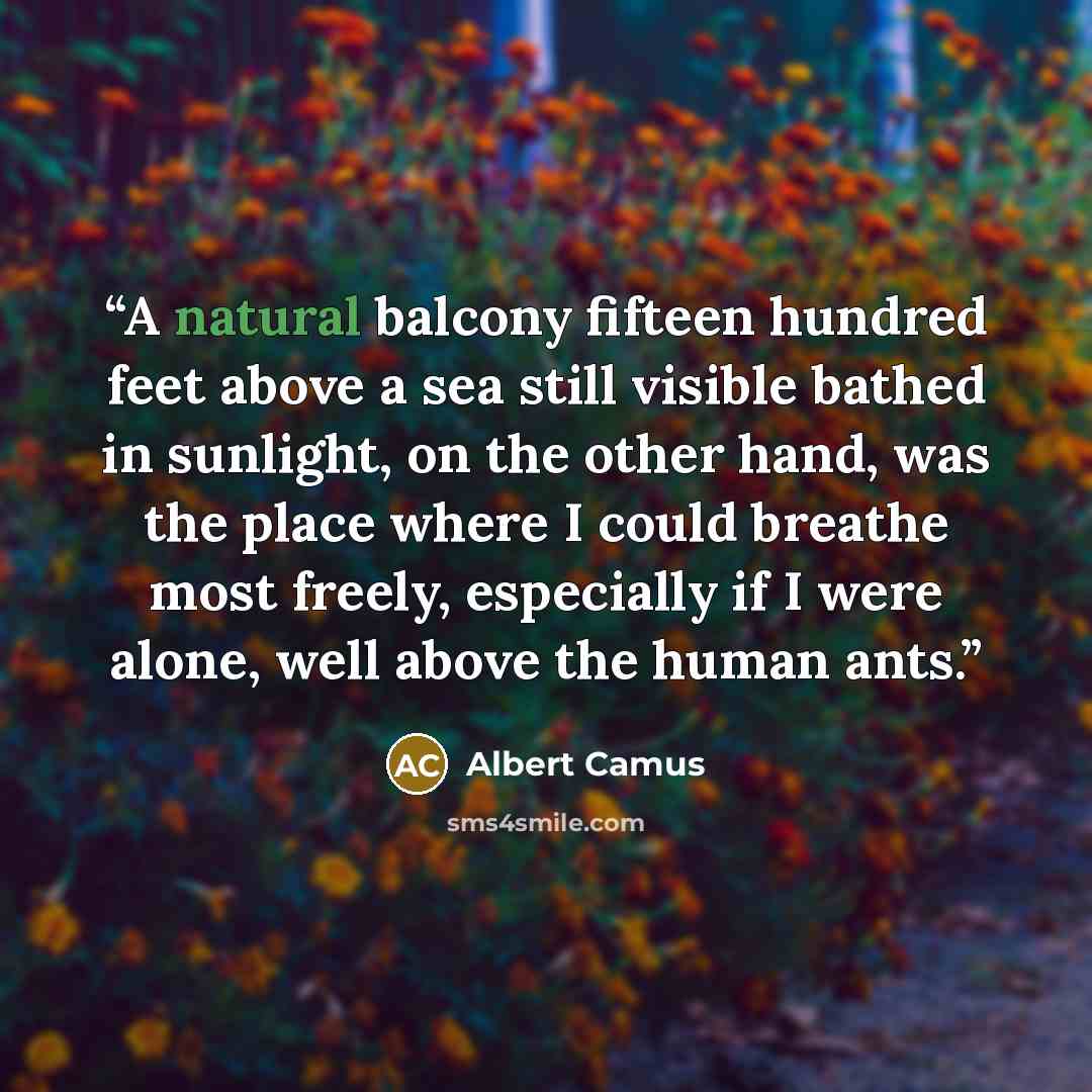 “A natural balcony fifteen hundred feet above a sea still visible bathed in sunlight, on the other hand, was the place where I could breathe most freely, especially if I were alone, well above the human ants.” quote by Albert Camus