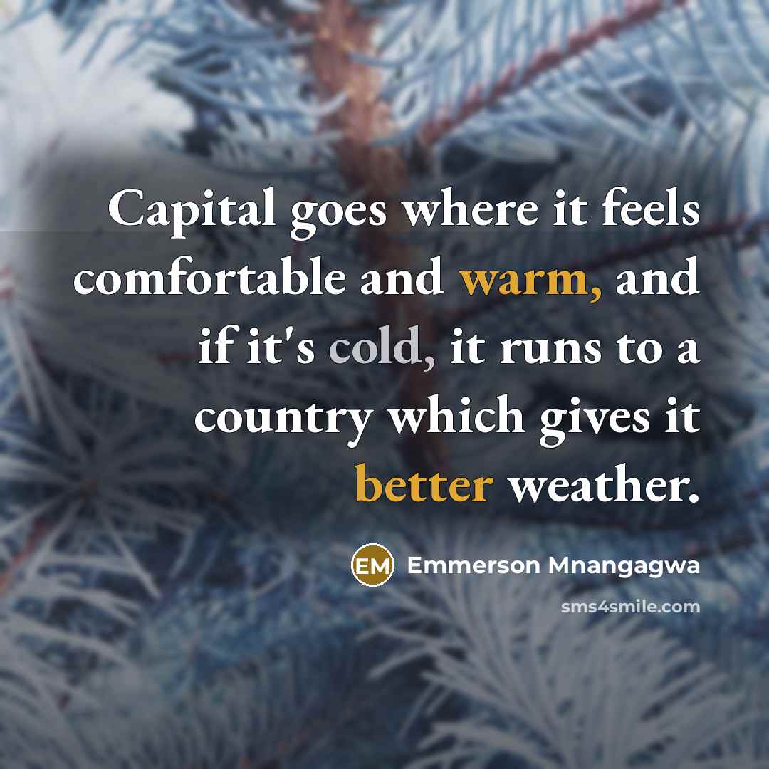 “Capital goes where it feels comfortable and warm, and if it's cold, it runs to a country which gives it better weather.” quote by Emmerson Mnangagwa