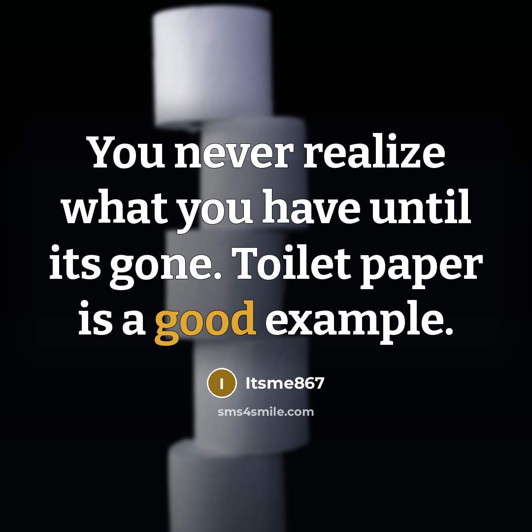 “You never realize what you have until its gone. Toilet paper is a good example.” quote by Itsme867