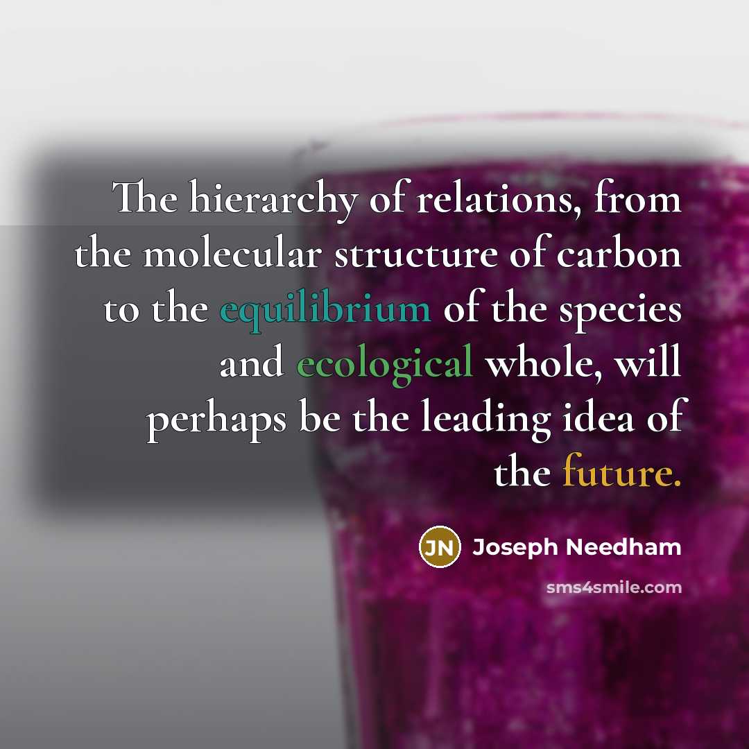 “The hierarchy of relations, from the molecular structure of carbon to the equilibrium of the species and ecological whole, will perhaps be the leading idea of the future.” quote by Joseph Needham