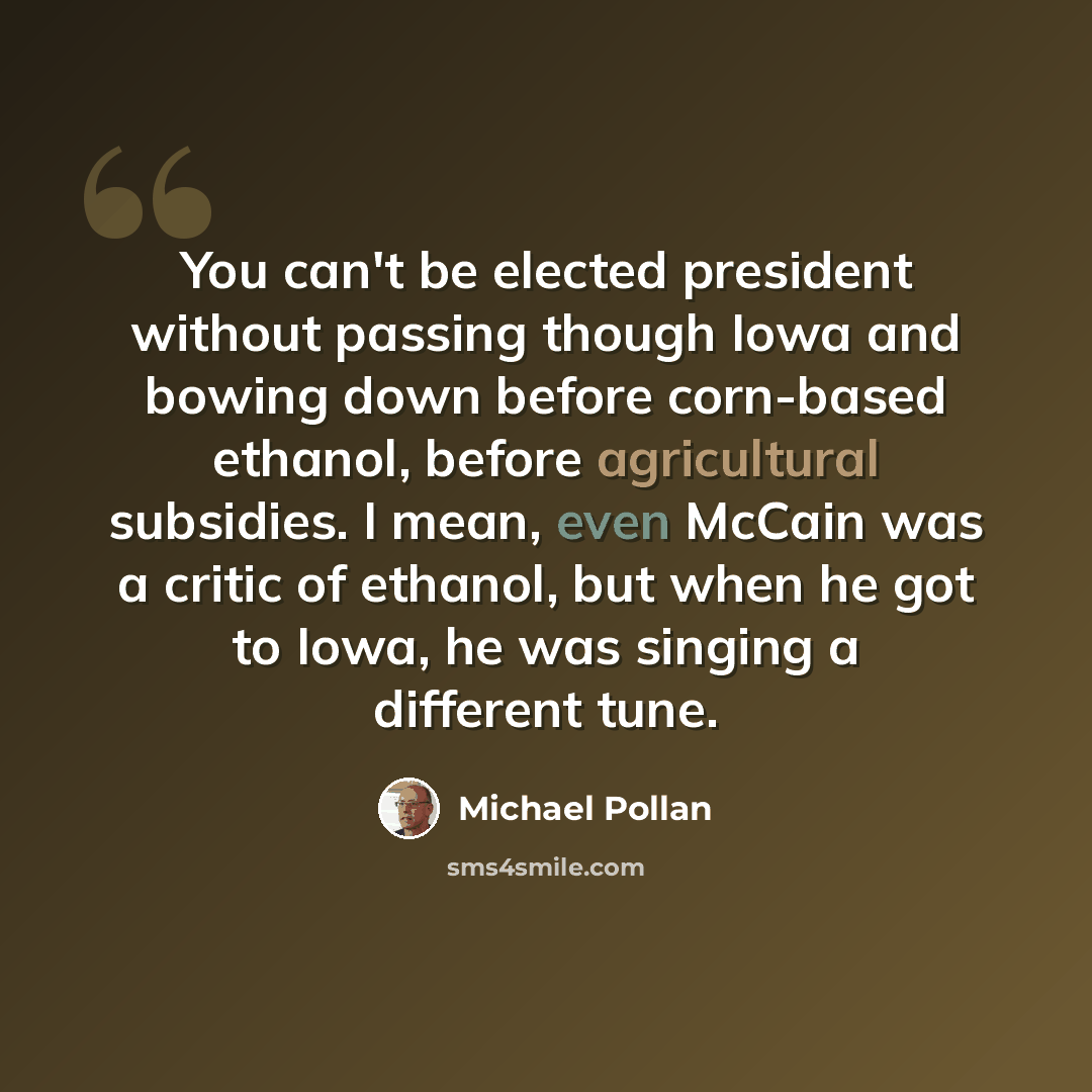 “You can't be elected president without passing though Iowa and bowing down before corn-based ethanol, before agricultural subsidies. I mean, even McCain was a critic of ethanol, but when he got to Iowa, he was singing a different tune.” quote by Michael Pollan