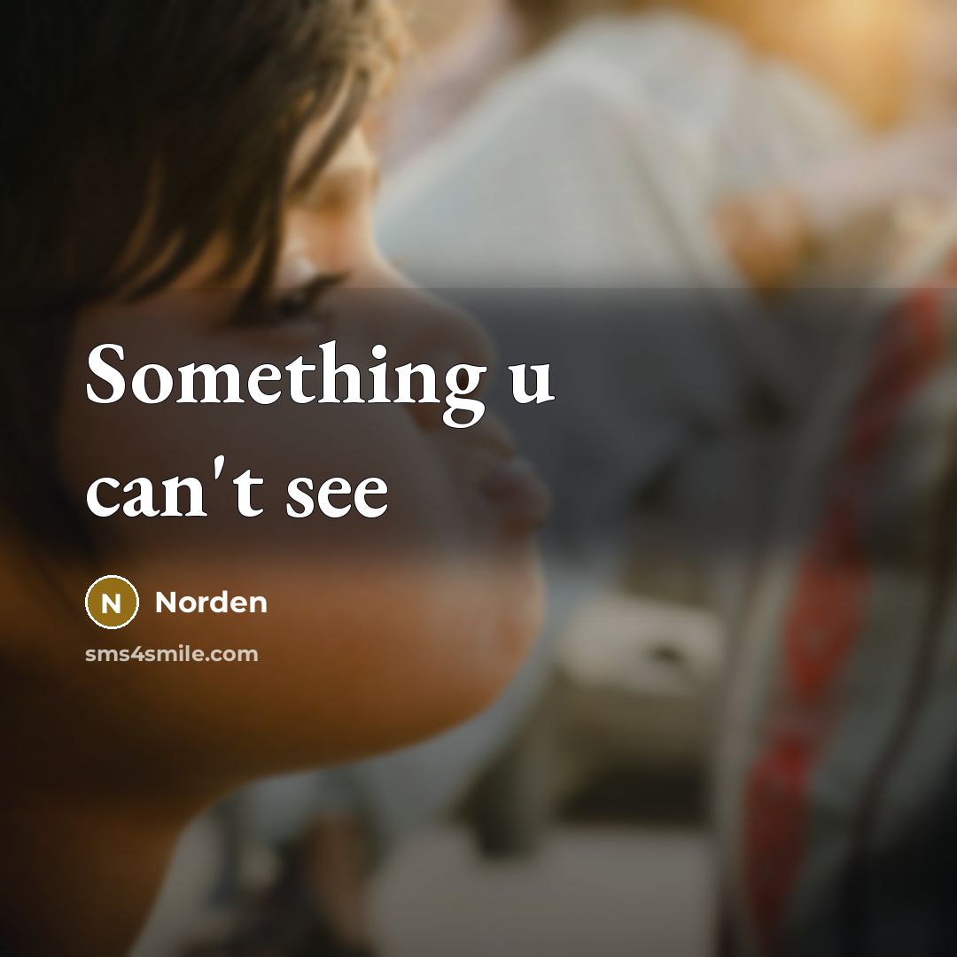 “Something u can't see” quote by Norden