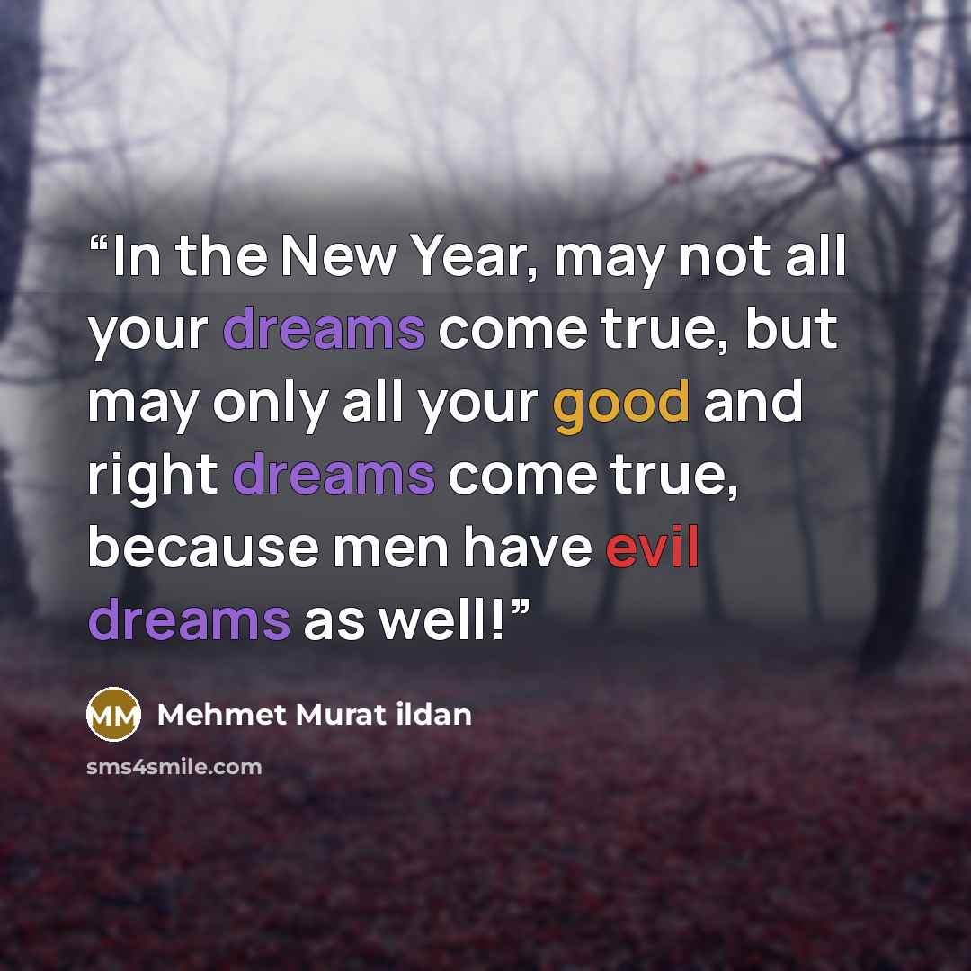 “In the New Year, may not all your dreams come true, but may only all your good and right dreams come true, because men have evil dreams as well!” quote by Mehmet Murat ildan