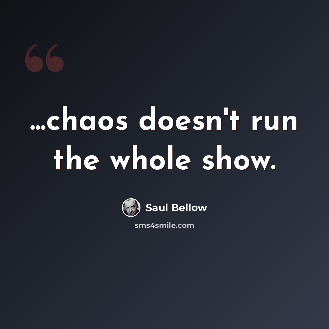 “...chaos doesn't run the whole show.” quote by Saul Bellow