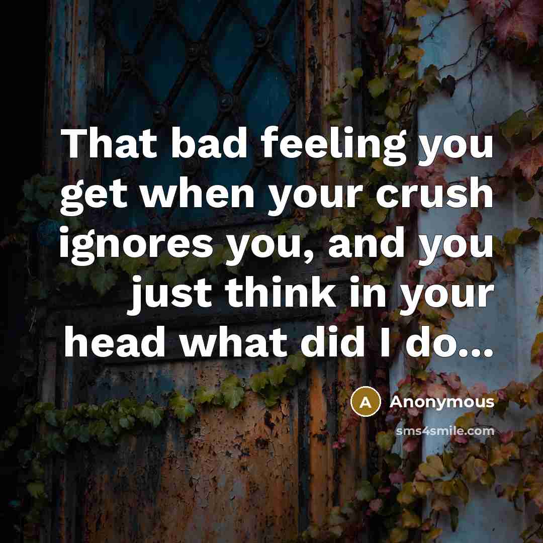 “That bad feeling you get when your crush ignores you, and you just think in your head what did I do...” quote by Anonymous