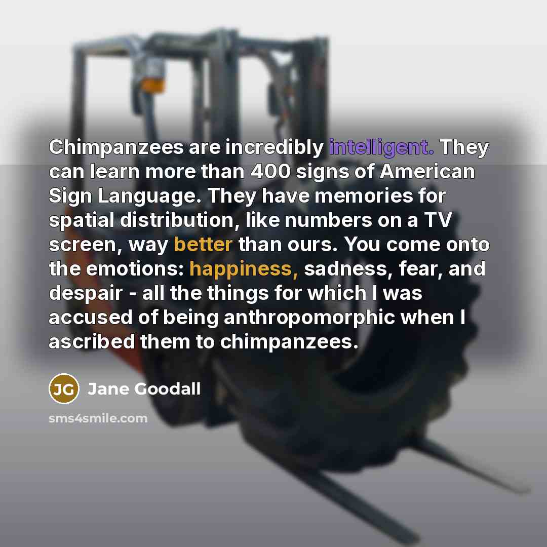 “Chimpanzees are incredibly intelligent. They can learn more than 400 signs of American Sign Language. They have memories for spatial distribution, like numbers on a TV screen, way better than ours. You come onto the emotions: happiness, sadness, fear, and despair - all the things for which I was…” quote by Jane Goodall