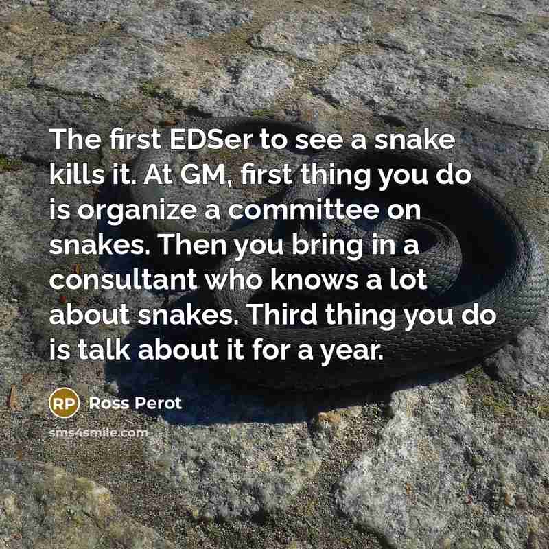 “The first EDSer to see a snake kills it. At GM, first thing you do is organize a committee on snakes. Then you bring in a consultant who knows a lot about snakes. Third thing you do is talk about it for a year.” quote by Ross Perot