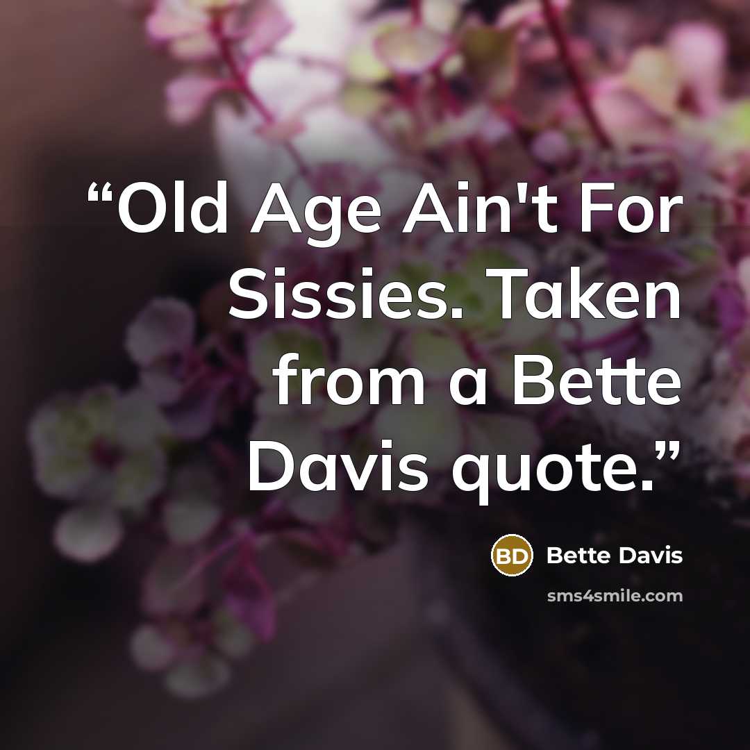 “Old Age Ain't For Sissies. Taken from a Bette Davis quote.” quote by Bette Davis