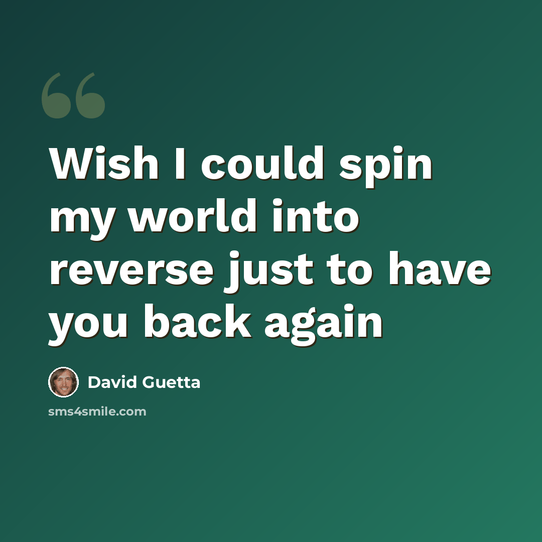 “Wish I could spin my world into reverse just to have you back again” quote by David Guetta